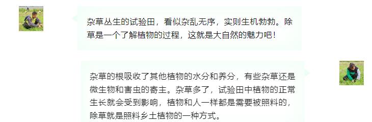 QQ截图20230705153824.jpg
