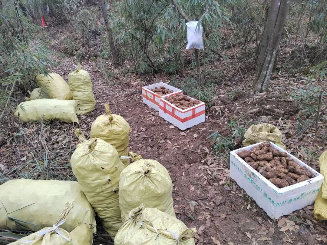 1694573190611278.jpg 640 (18).jpg