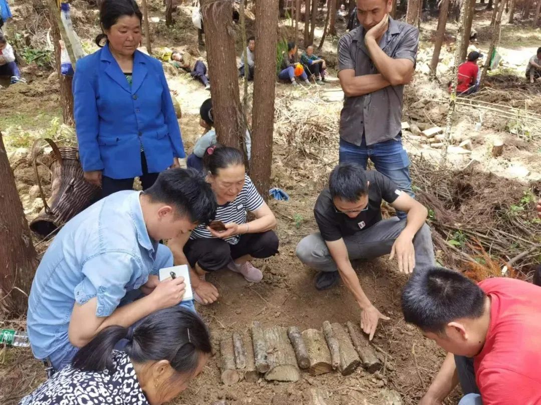 1694573366396931.jpg 640 (21).jpg