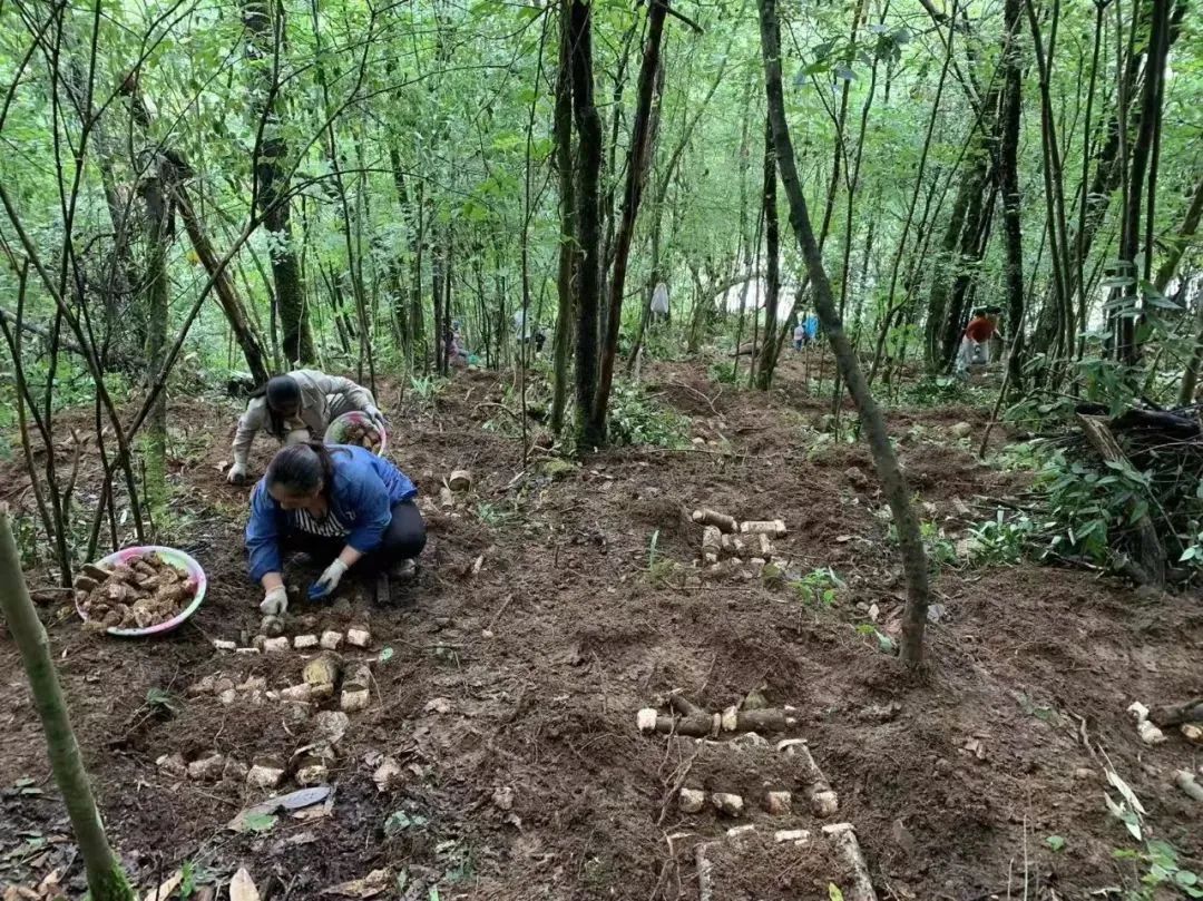 1694573454411124.jpg 640 (20).jpg