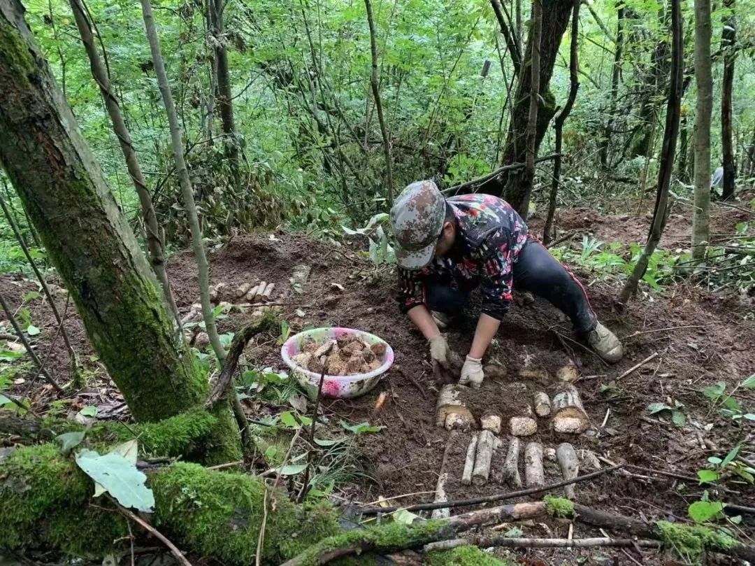 1694573613290003.jpg 640 (19).jpg