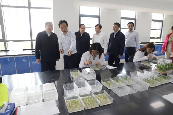 1698203171459659.png 638333341955270701.png