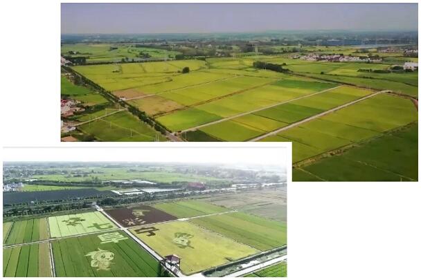 1713753182112812.jpg QQ截图20240422103939.jpg