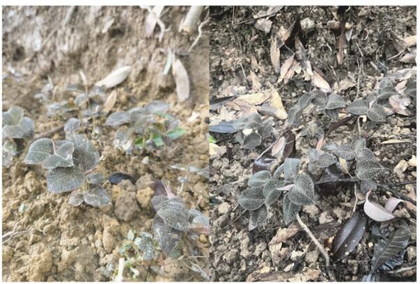 1713753822505408.jpg QQ截图20240422104238.jpg