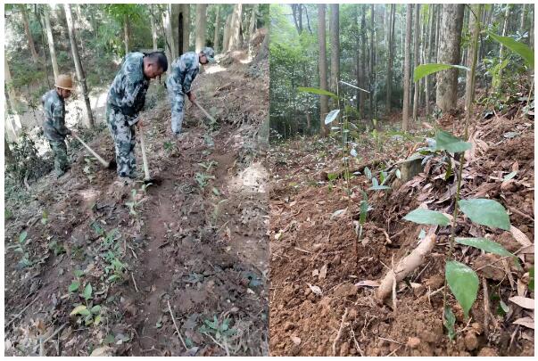 1713753844482816.jpg QQ截图20240422104258.jpg