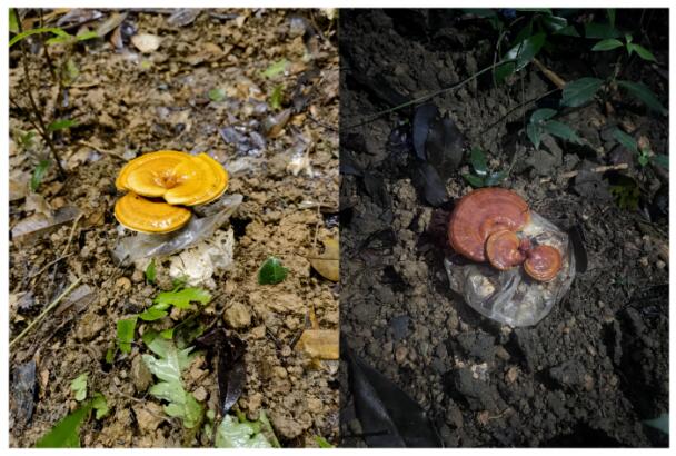 1713753856260643.jpg QQ截图20240422104309.jpg