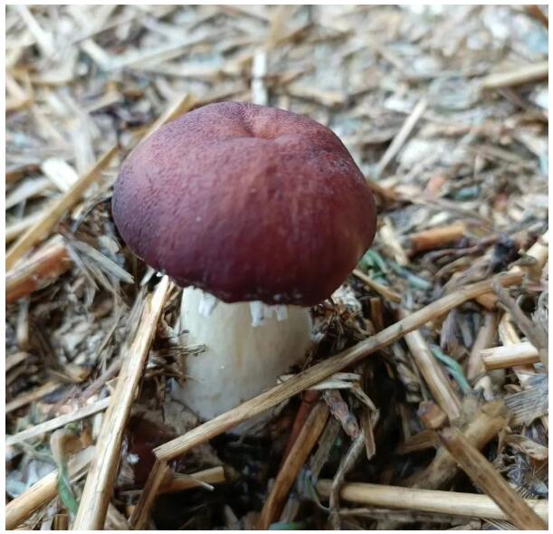 1713753892311464.jpg QQ截图20240422104338.jpg