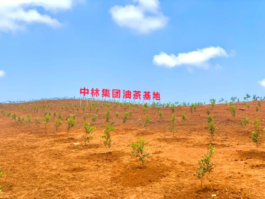 1713756116399894.png 638417186139768279.png