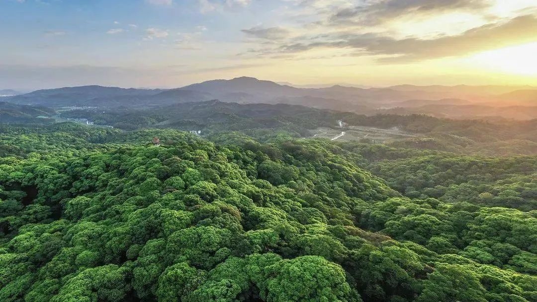 1713756462415256.jpg 638392118105996732.jpg