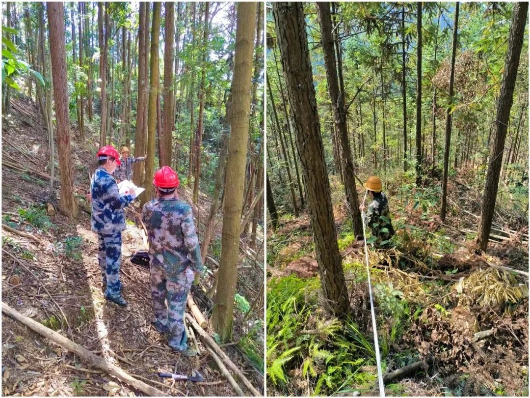 1713756509307634.jpg 638392118634746955.jpg