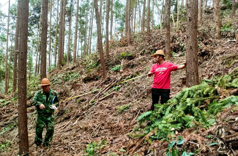 1713756623180991.png 638392119510997719.png