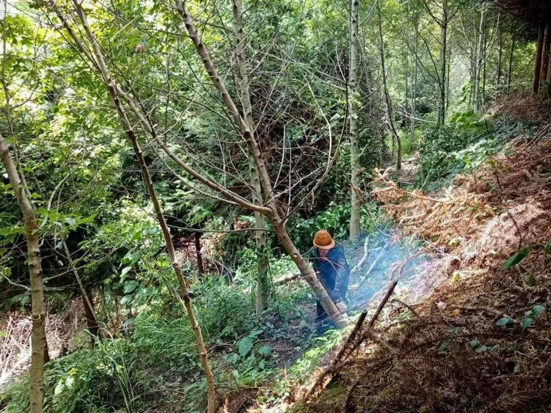 1713756644479029.jpg 638392119926153950.jpg