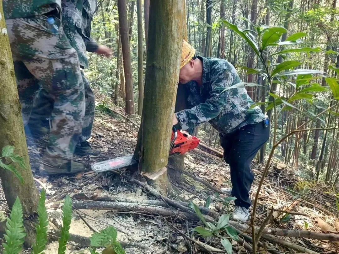 1713756655475931.jpg 638392120083342394.jpg