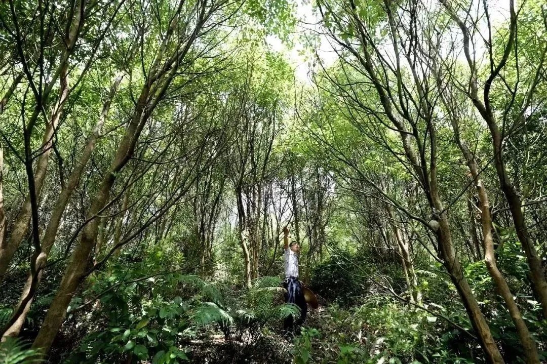 1713757256775217.jpg 638364492181869246.jpg