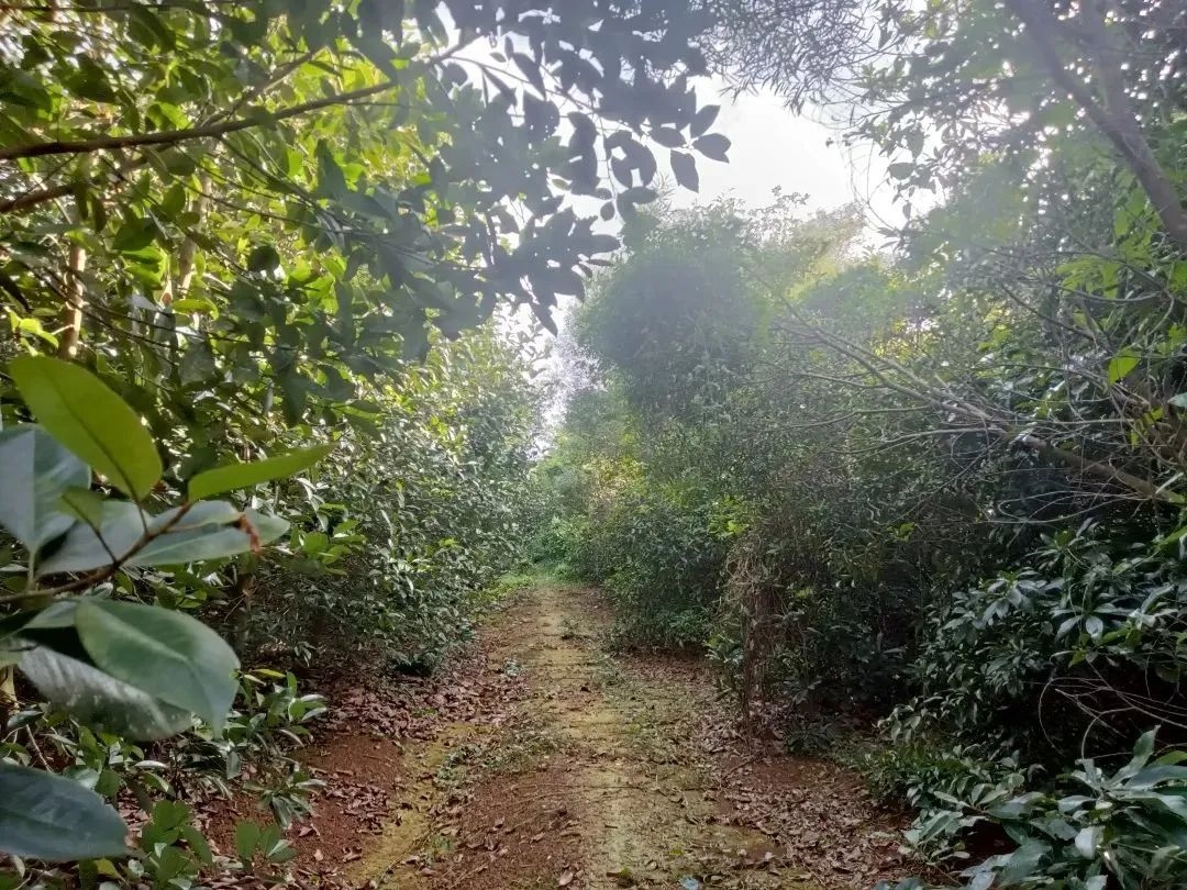 1713757267377776.jpg 638364492419369865.jpg