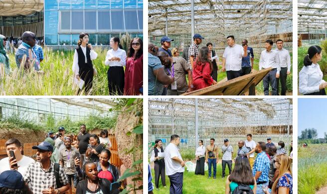 1715764472999025.jpg QQ截图20240515142753.jpg