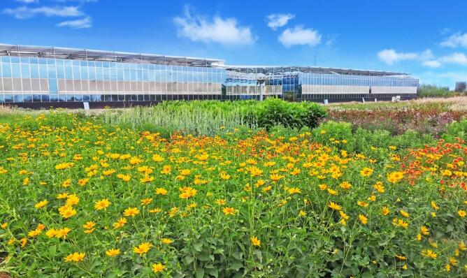 1715764790402131.jpg QQ截图20240515163602.jpg