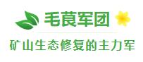 QQ截图20240516114704.jpg