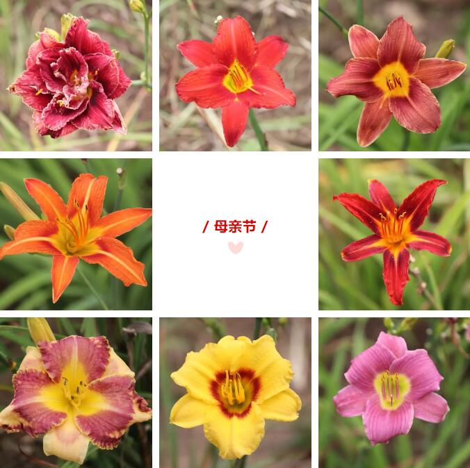 QQ截图20240517143459.jpg
