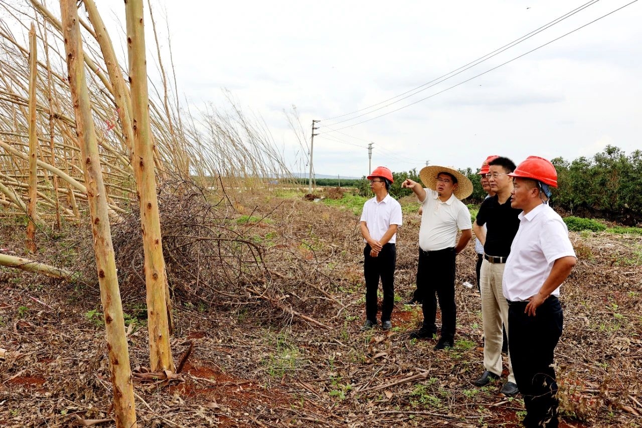 1726736892106241.jpg 638622954552912247.jpg