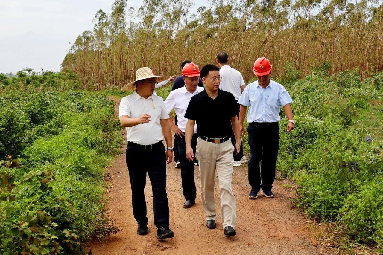 1726736904109240.jpg 638622954729159833.jpg