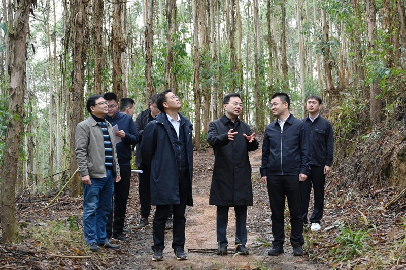 1740469774475372.jpg 638759914614817854.jpg