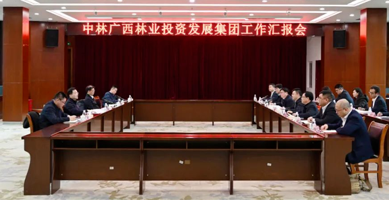 1740469783504117.png 638759915001934551.png